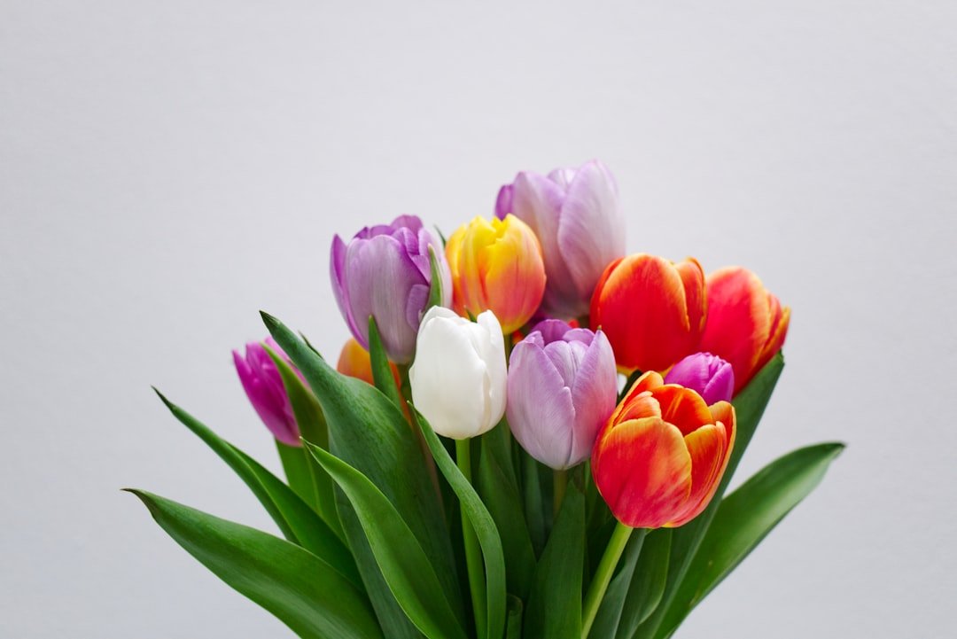 Photo Colorful bouquet