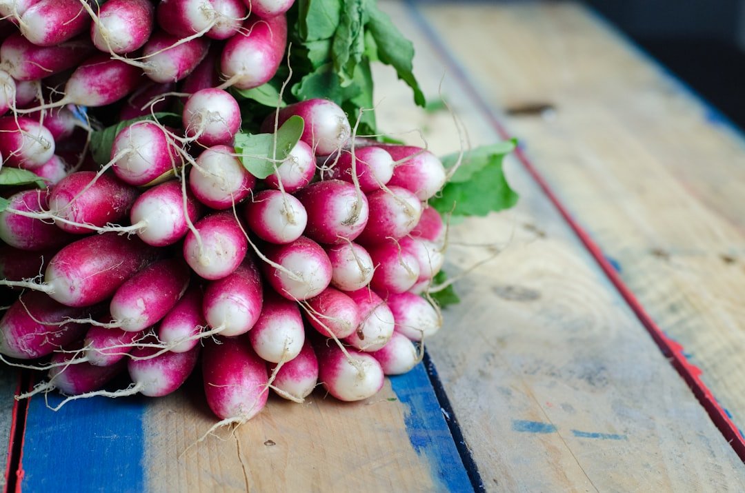 Photo Vegetable soup