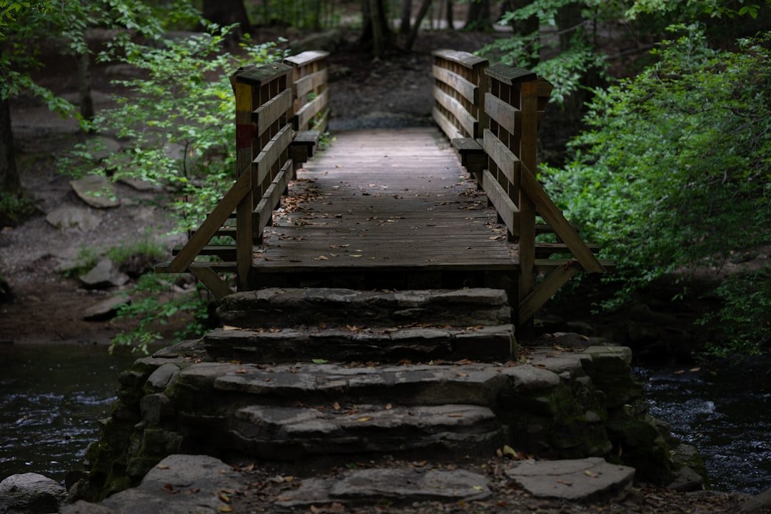 Photo Nature walk