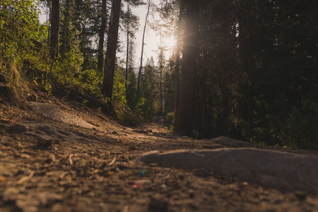 Photo Mountain trail