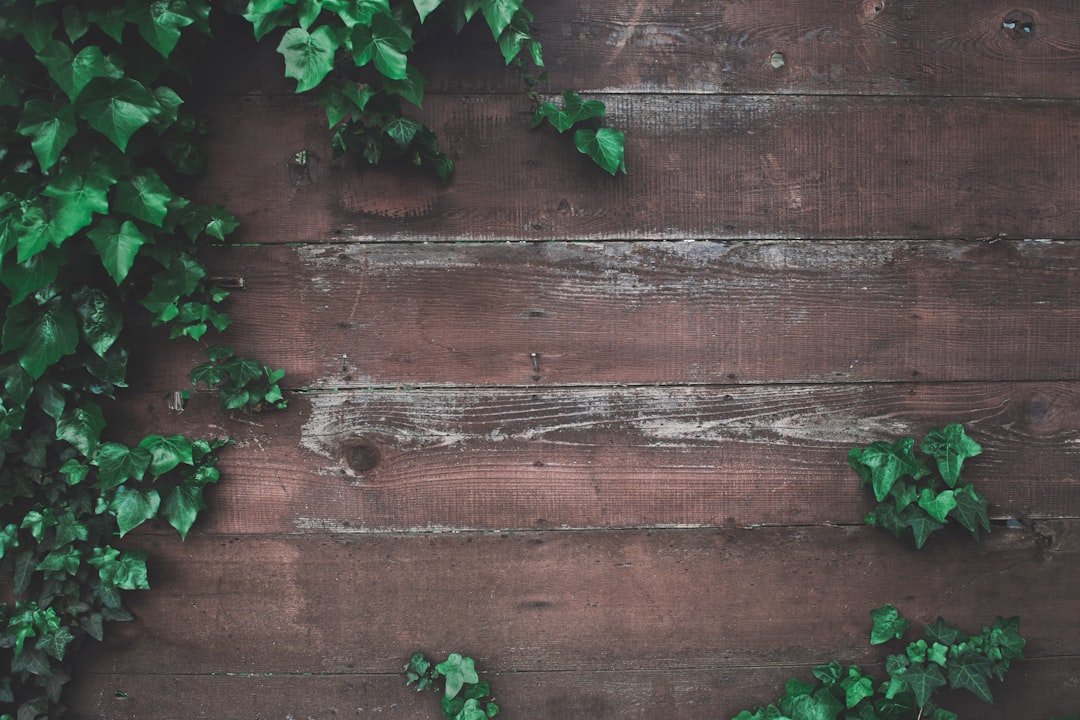 Photo Wood paneling