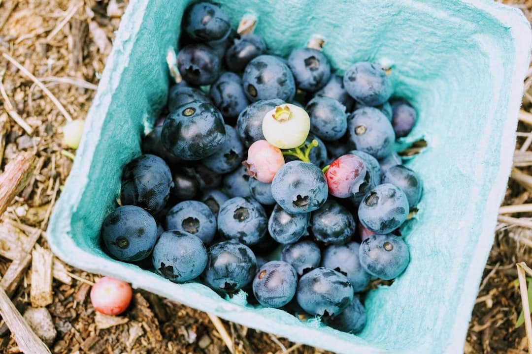 Photo Fresh berries