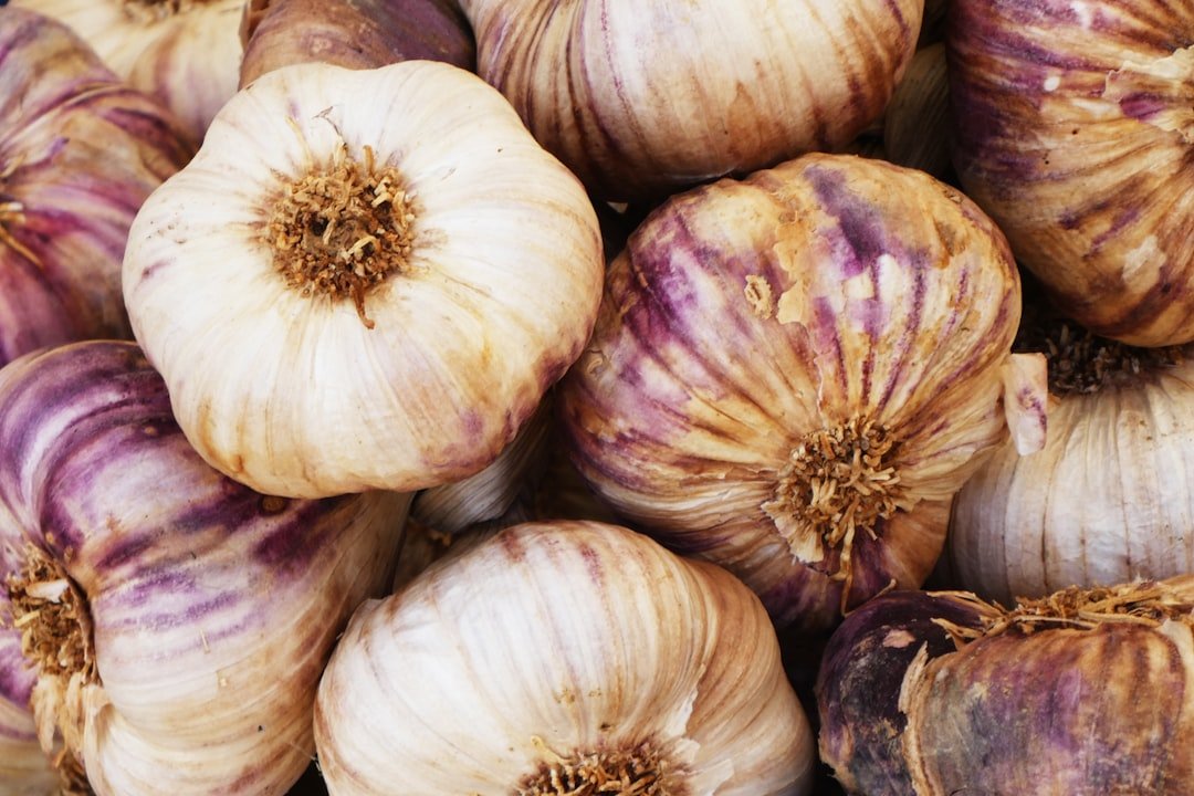 Photo Root vegetables
