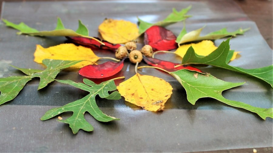 Photo Fall-inspired wood slice art