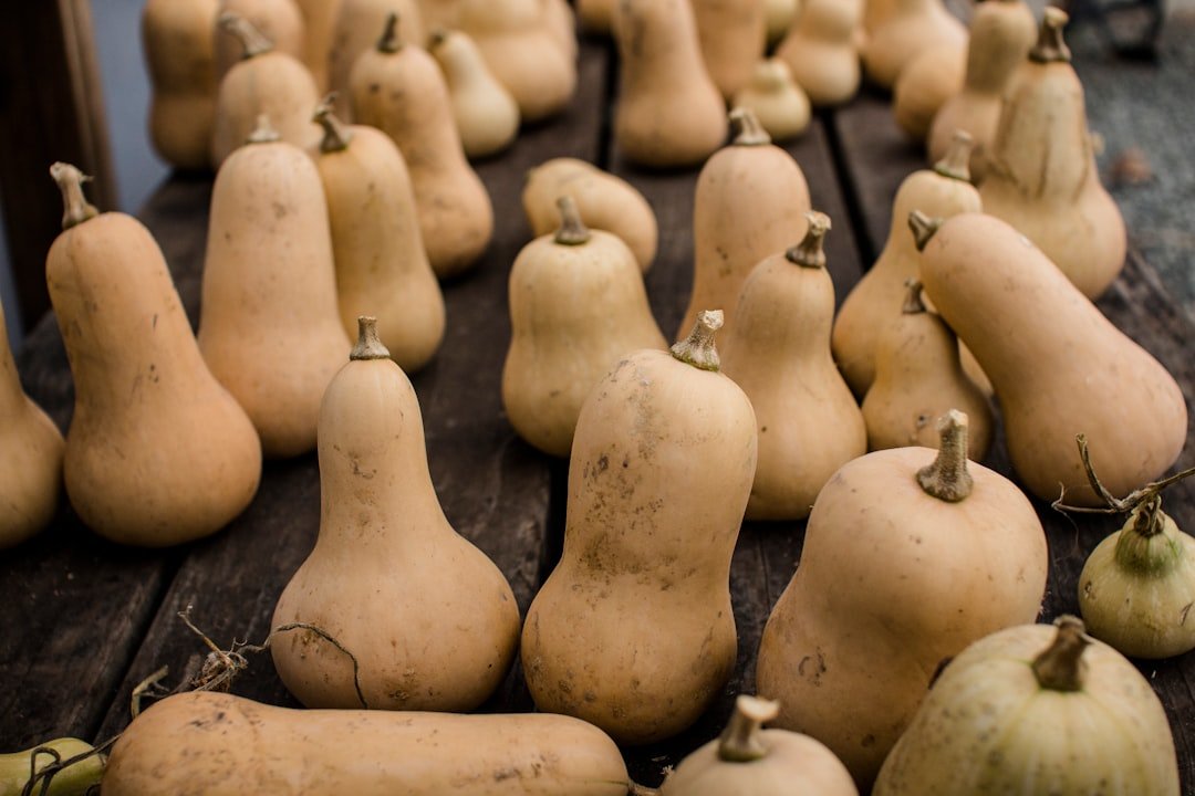 Photo Butternut squash