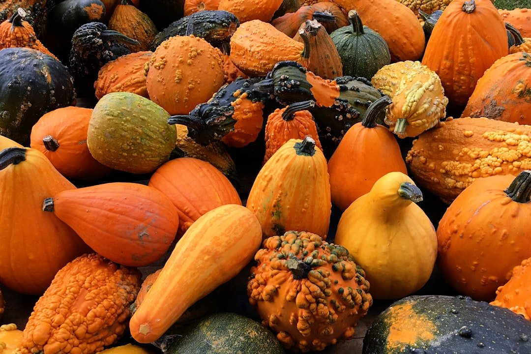 Photo Butternut squash