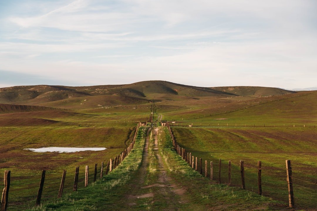 Photo Rolling hills