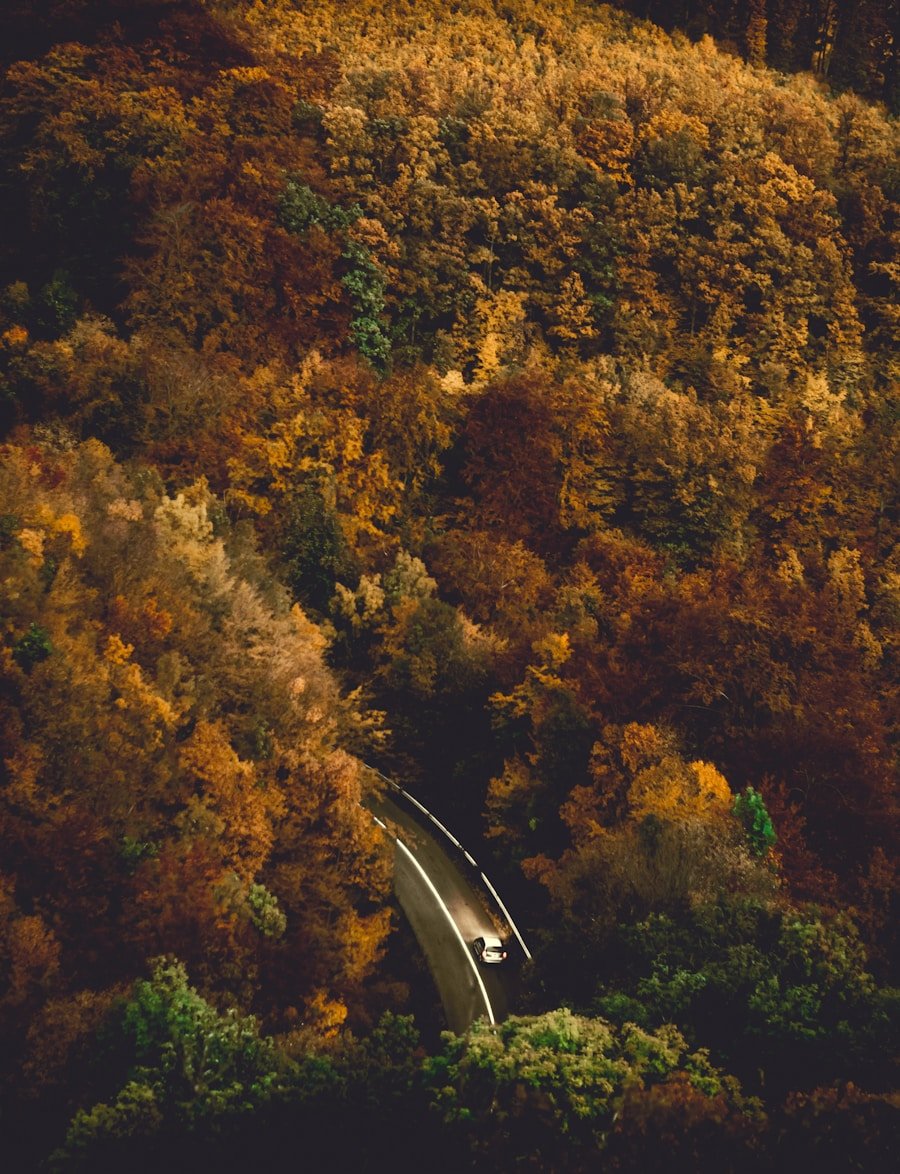 Photo "Autumn covered bridge road trips"