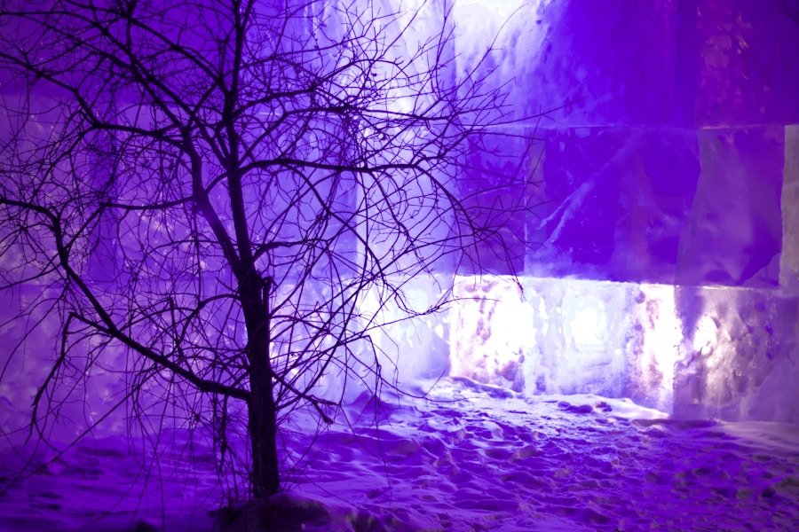 Photo "Winter ice castle experiences"