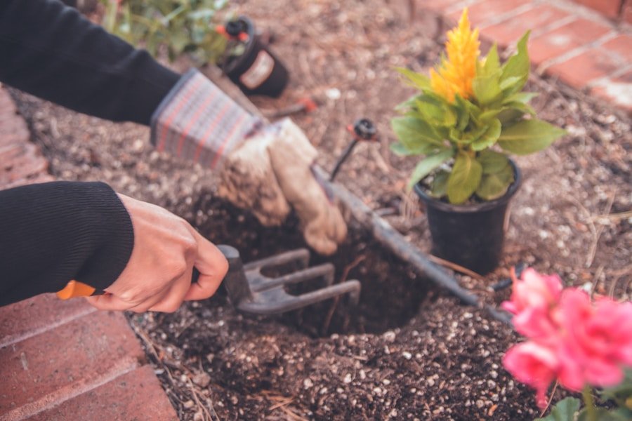 Photo "Spring mindful gardening techniques"