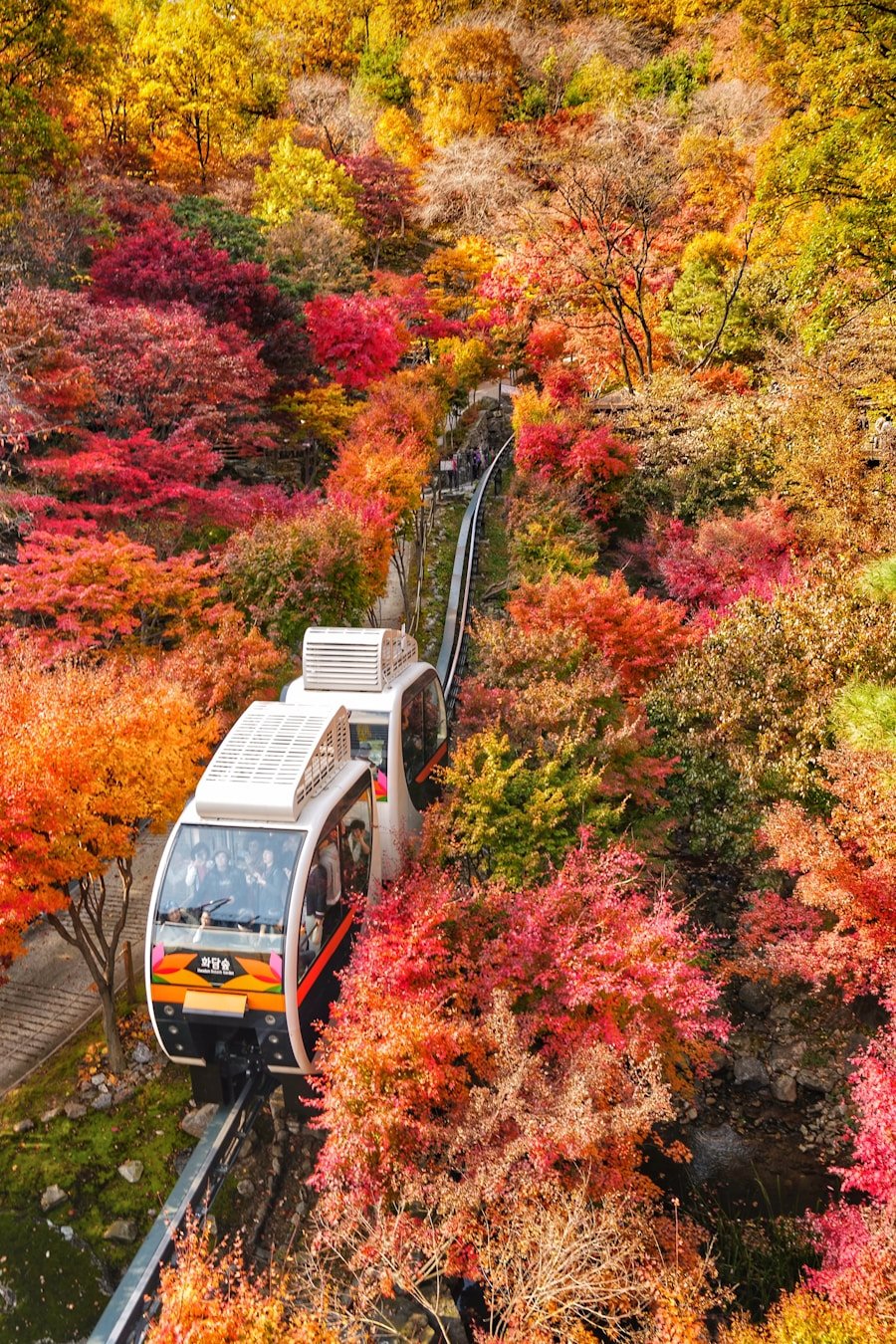 Photo Fall foliage train journeys