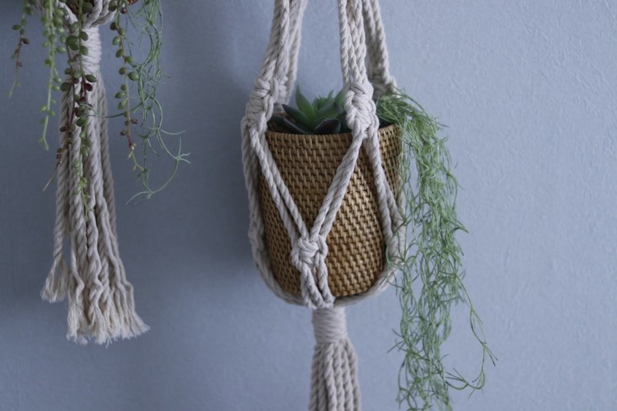 Photo "Summer macramé plant hangers"