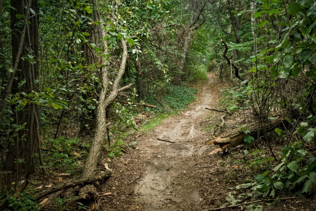 Photo Trail mix
