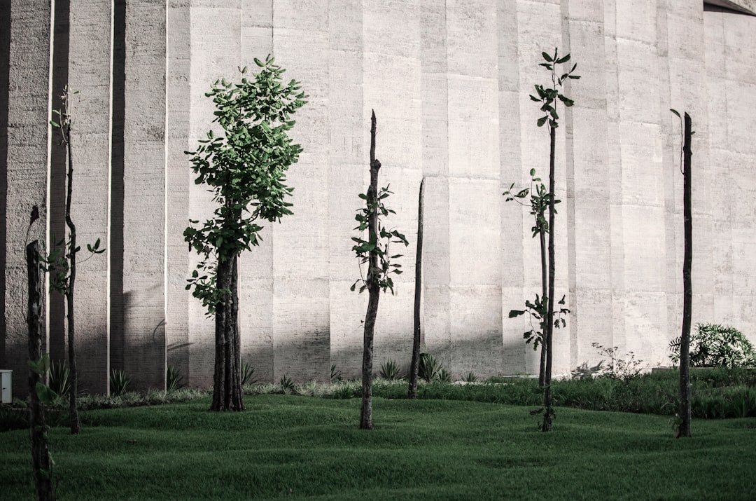 Photo Concrete planters