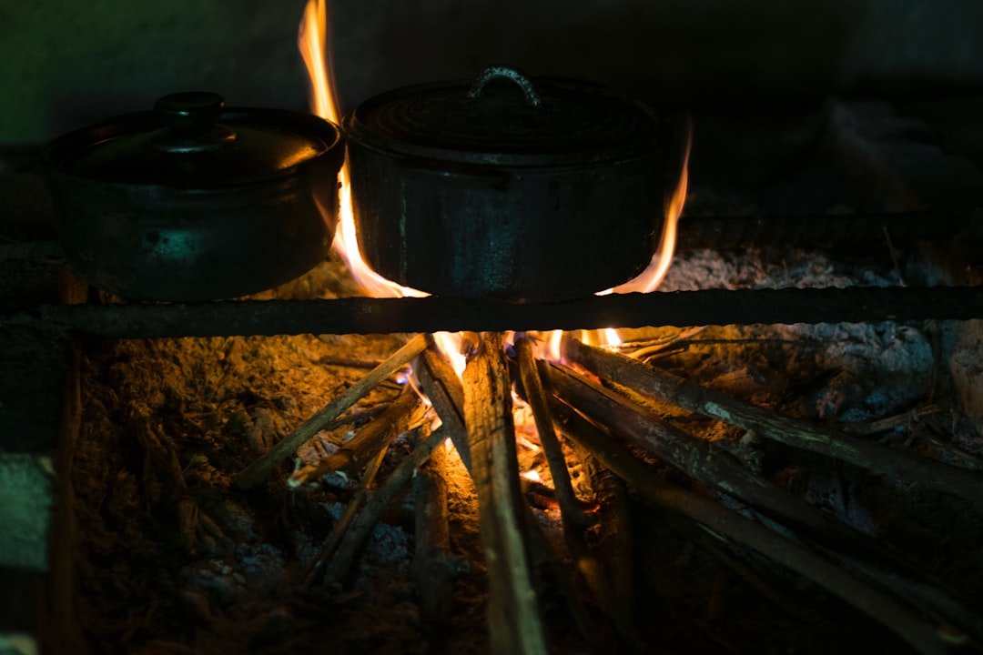 Photo Cozy kitchen