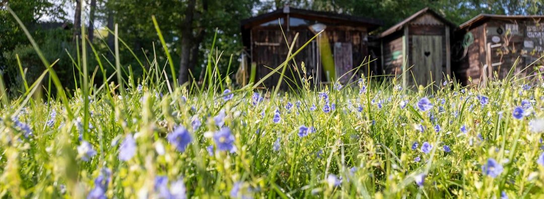 Photo Secluded cabin