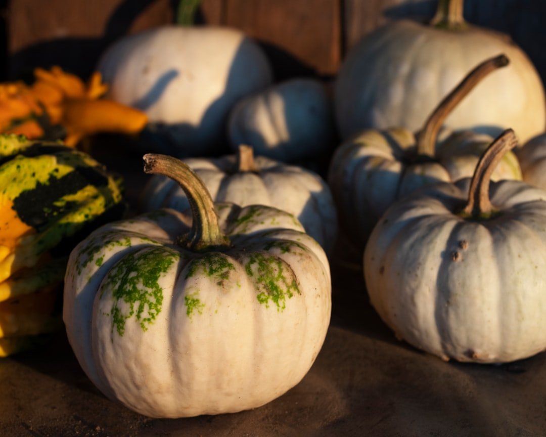 Photo Pumpkin pie