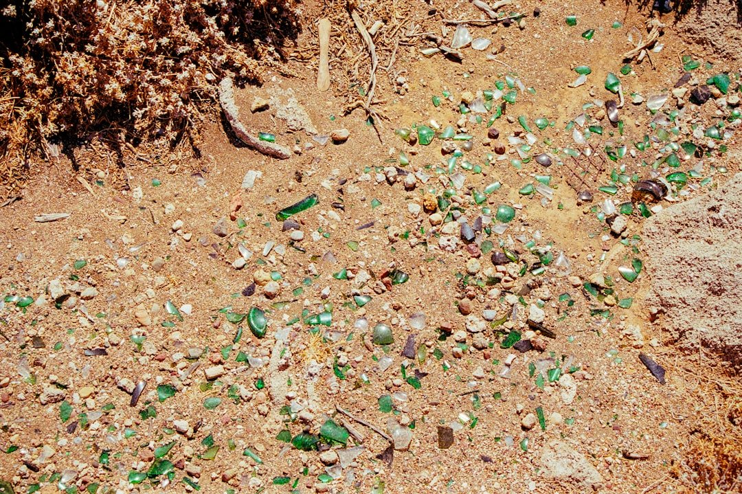 Photo Biodegradable cat litter