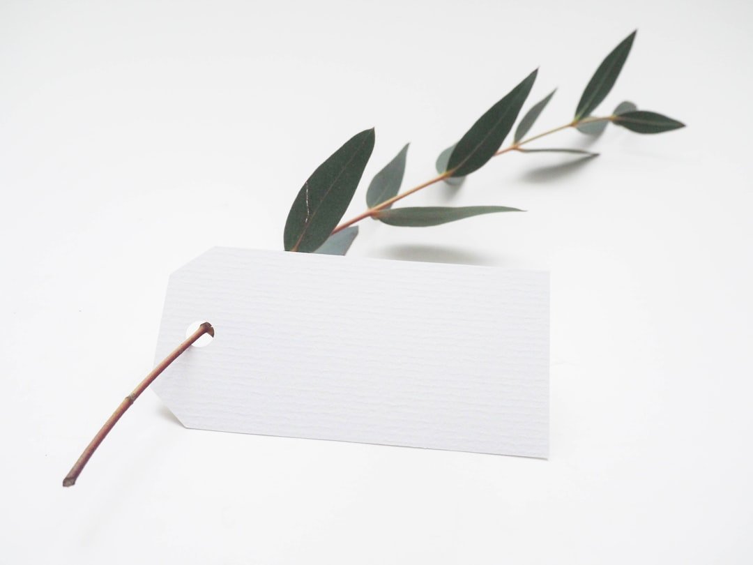 Photo Minimalist Bedframe