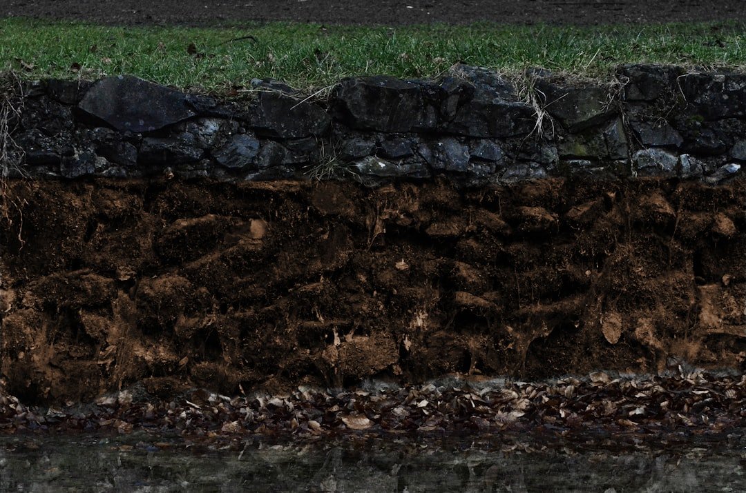 Photo Artificial turf